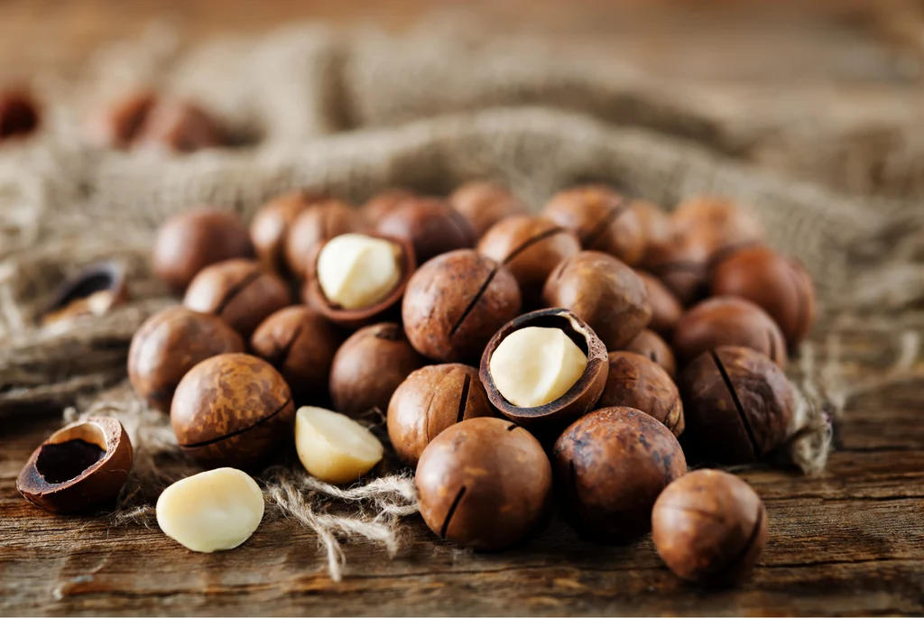 Macadamia nuts